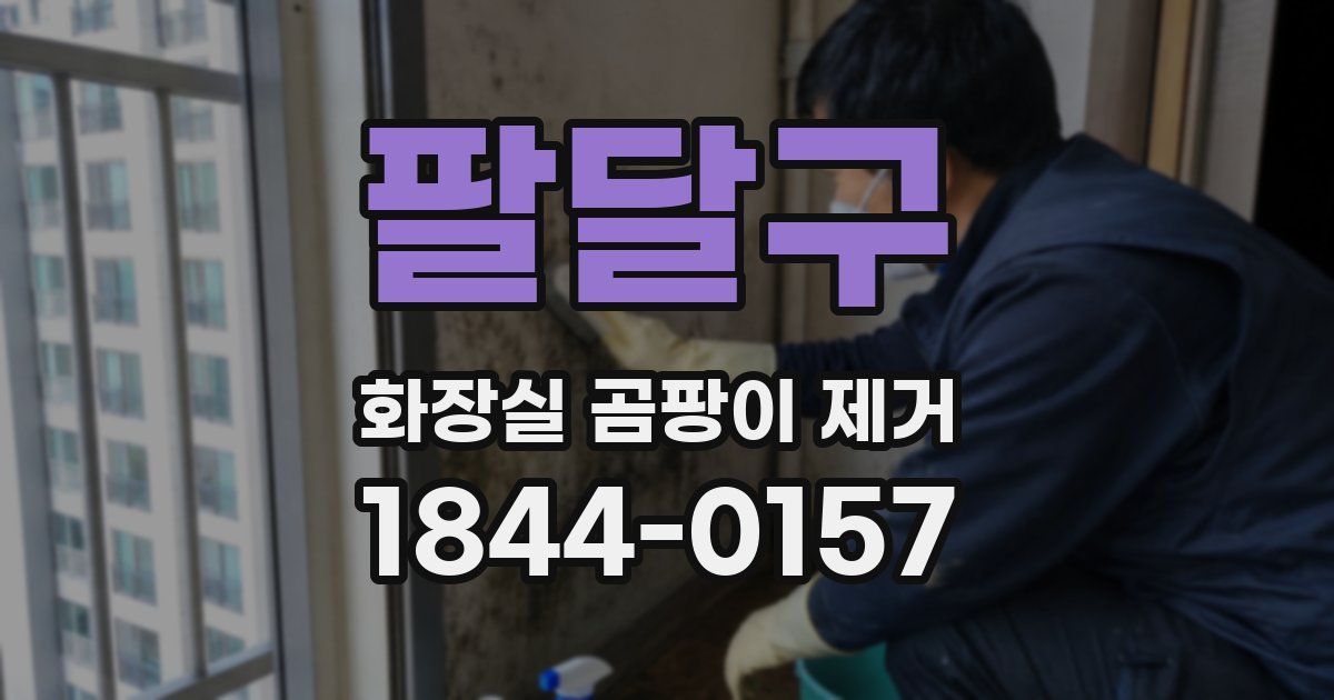 팔달구 화장실 곰팡이 제거