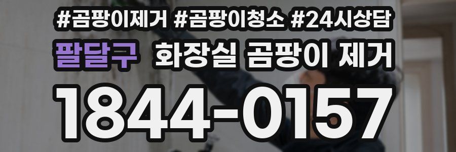 팔달구 화장실 곰팡이 제거