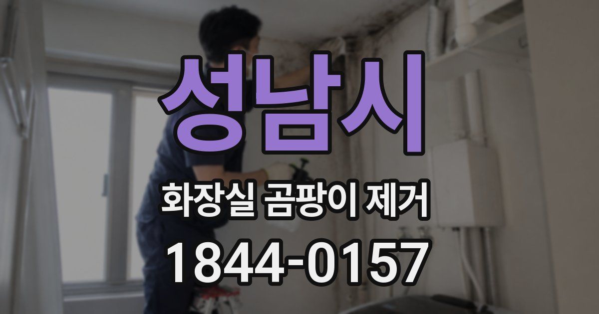 성남시 화장실 곰팡이 제거