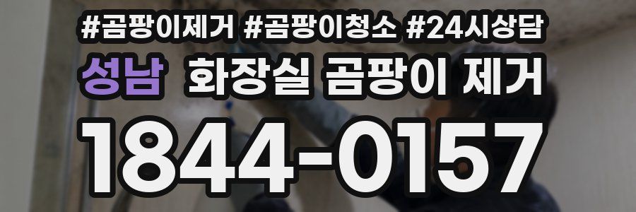 성남 화장실 곰팡이 제거