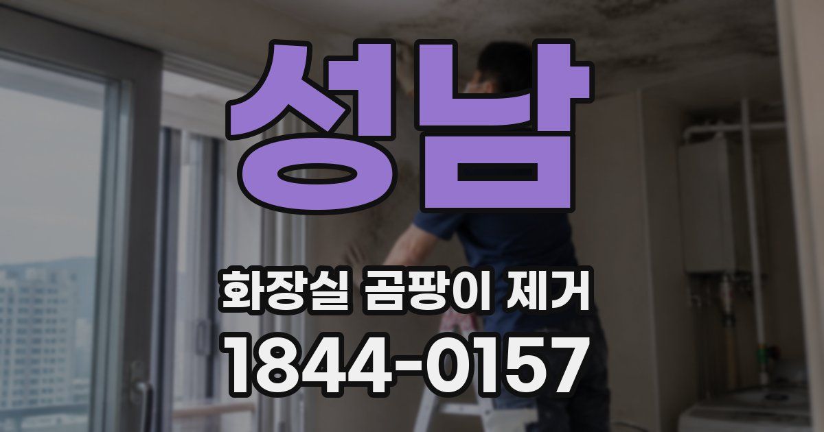 성남 화장실 곰팡이 제거