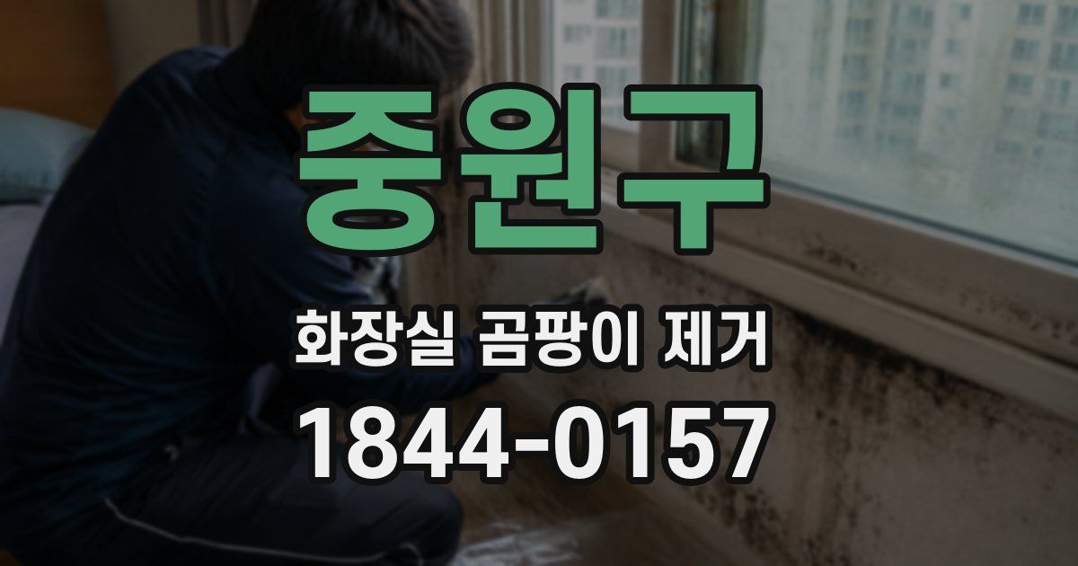 중원구 화장실 곰팡이 제거