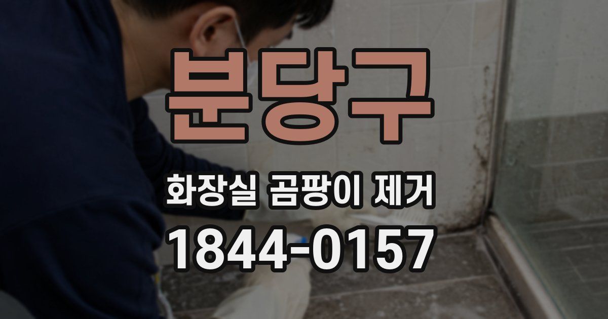 분당구 화장실 곰팡이 제거