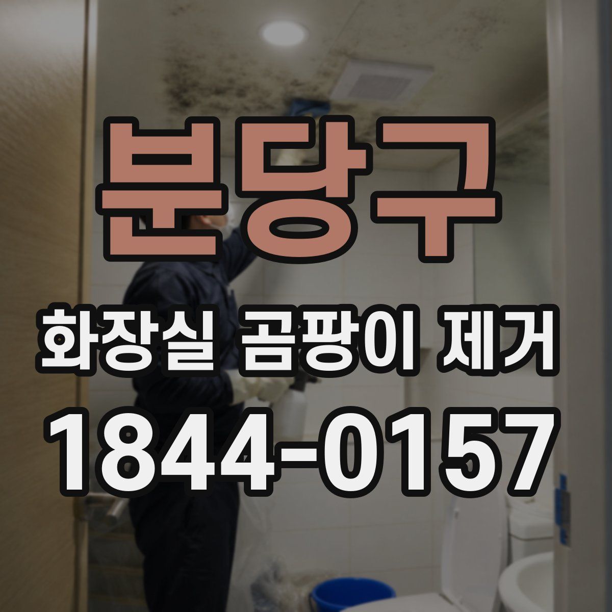 분당구 화장실 곰팡이 제거
