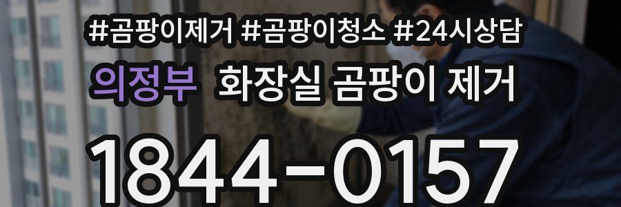 의정부 화장실 곰팡이 제거