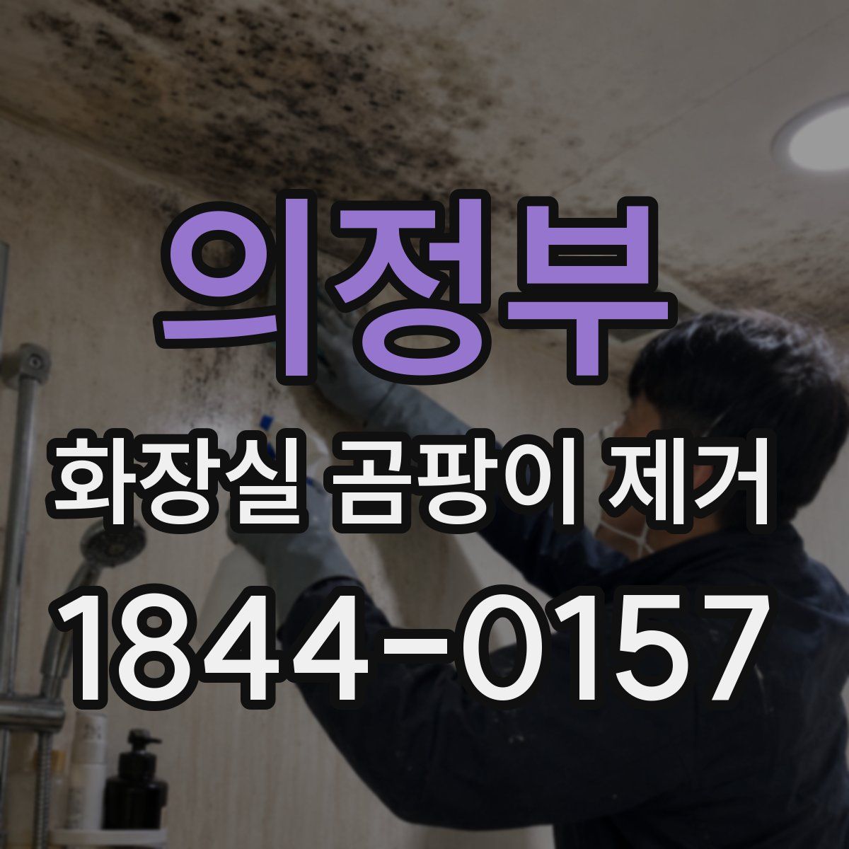 의정부 화장실 곰팡이 제거