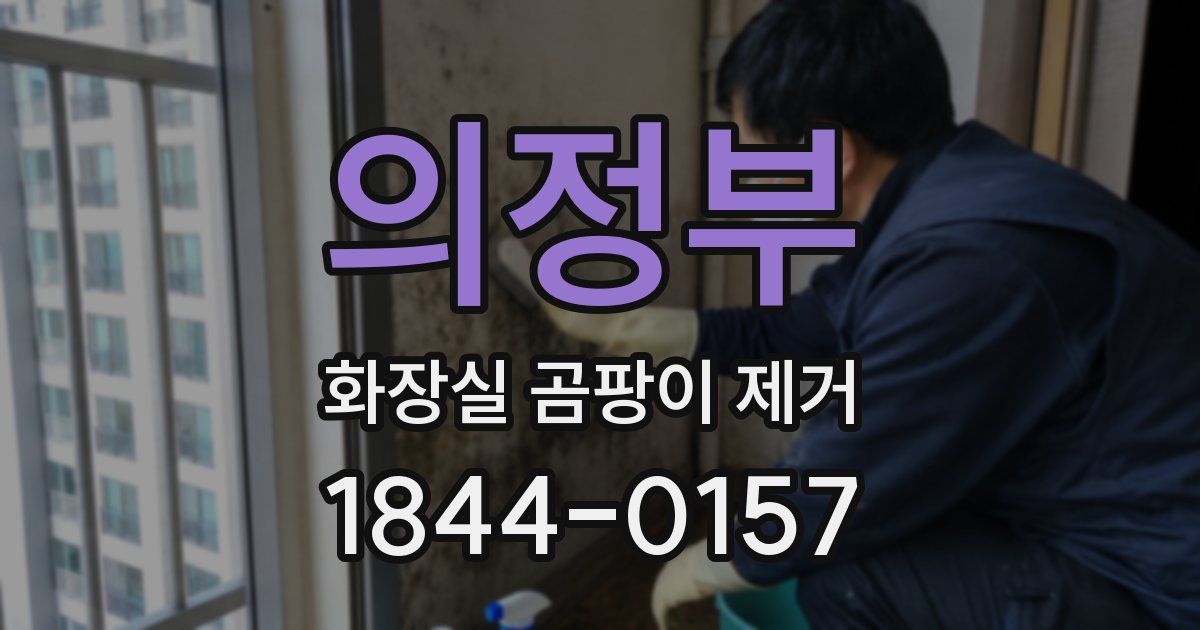 의정부 화장실 곰팡이 제거