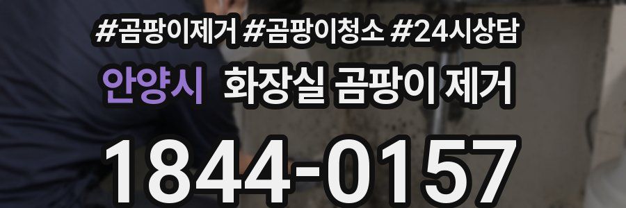 안양시 화장실 곰팡이 제거