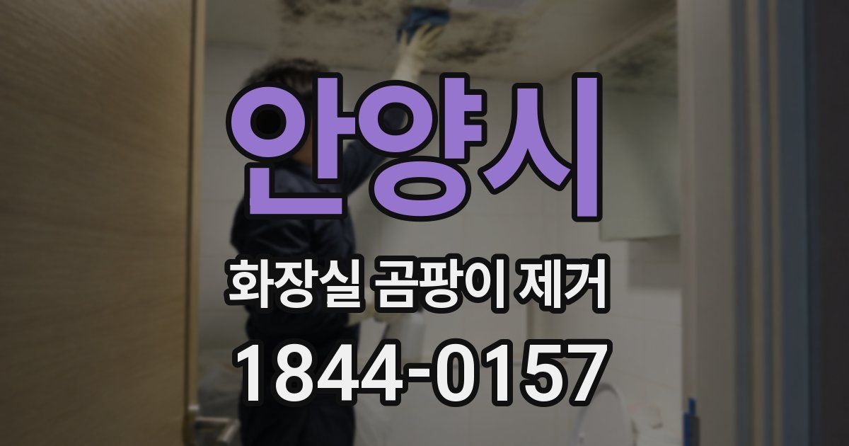 안양시 화장실 곰팡이 제거