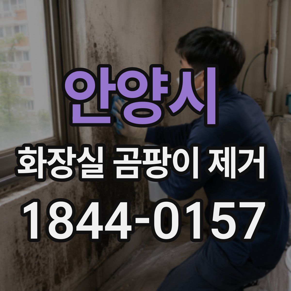안양시 화장실 곰팡이 제거