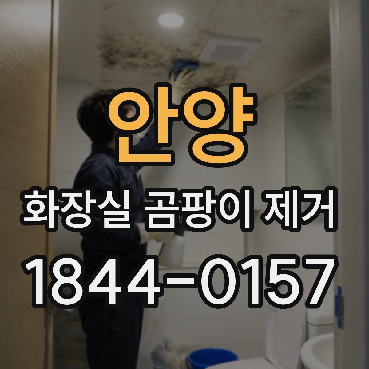 안양 화장실 곰팡이 제거 천장과 벽면을 나눠 점검하는 이유