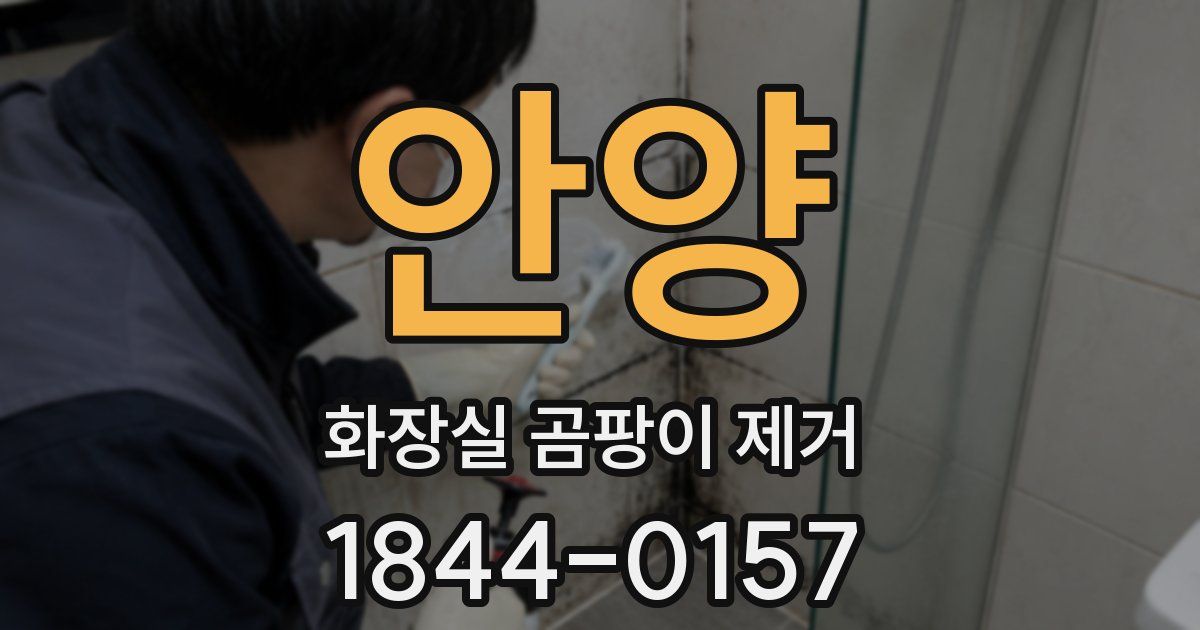 안양 화장실 곰팡이 제거