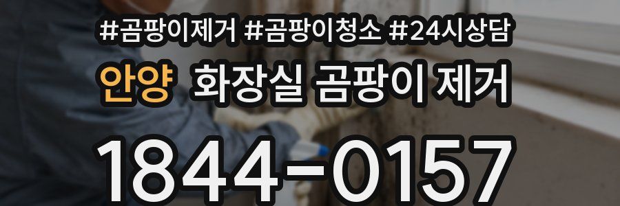 안양 화장실 곰팡이 제거