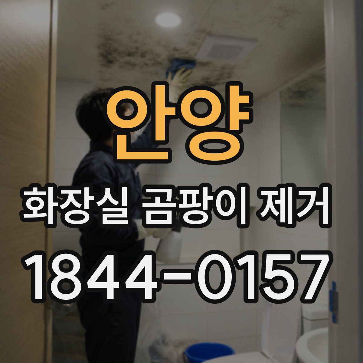 안양 화장실 곰팡이 제거