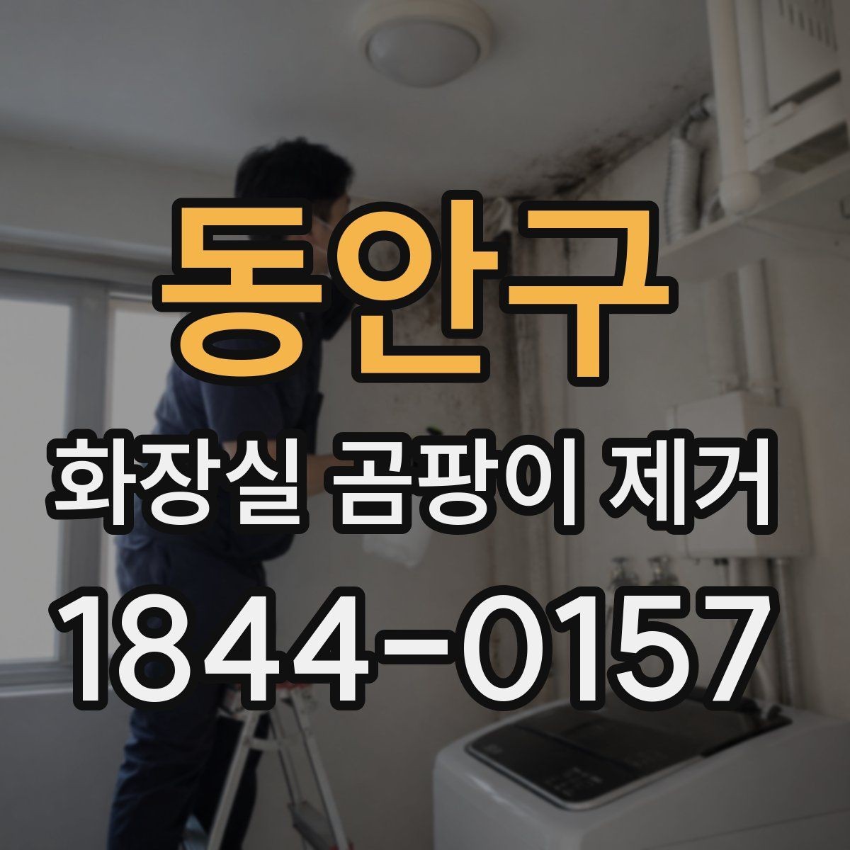 동안구 화장실 곰팡이 제거 셀프 청소로 한계가 느껴질 때 살필 점