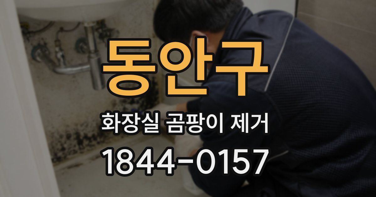 동안구 화장실 곰팡이 제거