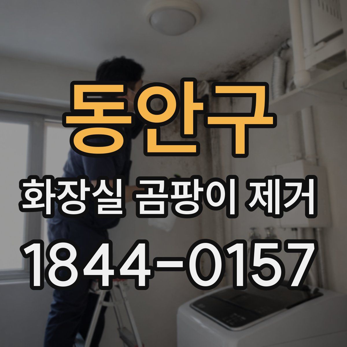 동안구 화장실 곰팡이 제거