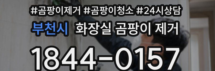 부천시 화장실 곰팡이 제거