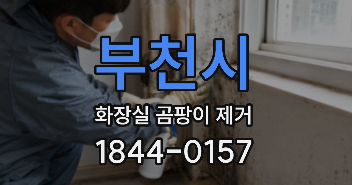 부천시 화장실 곰팡이 제거