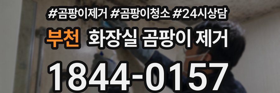 부천 화장실 곰팡이 제거