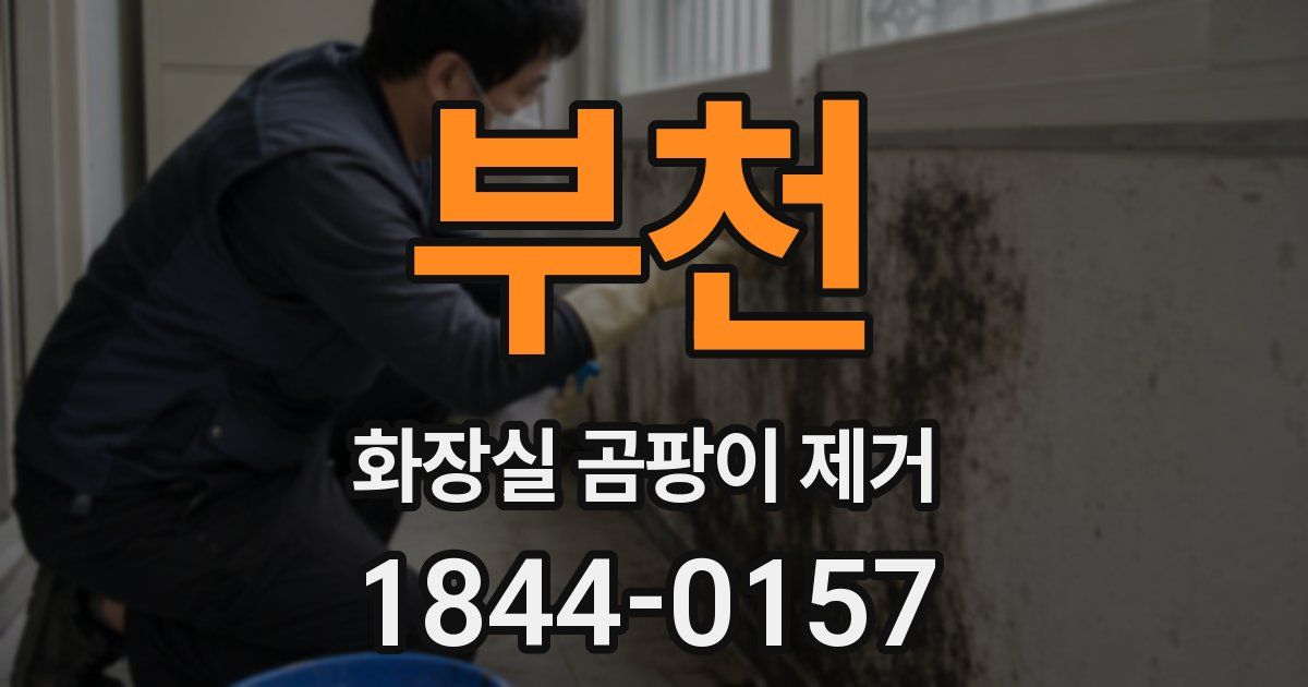 부천 화장실 곰팡이 제거