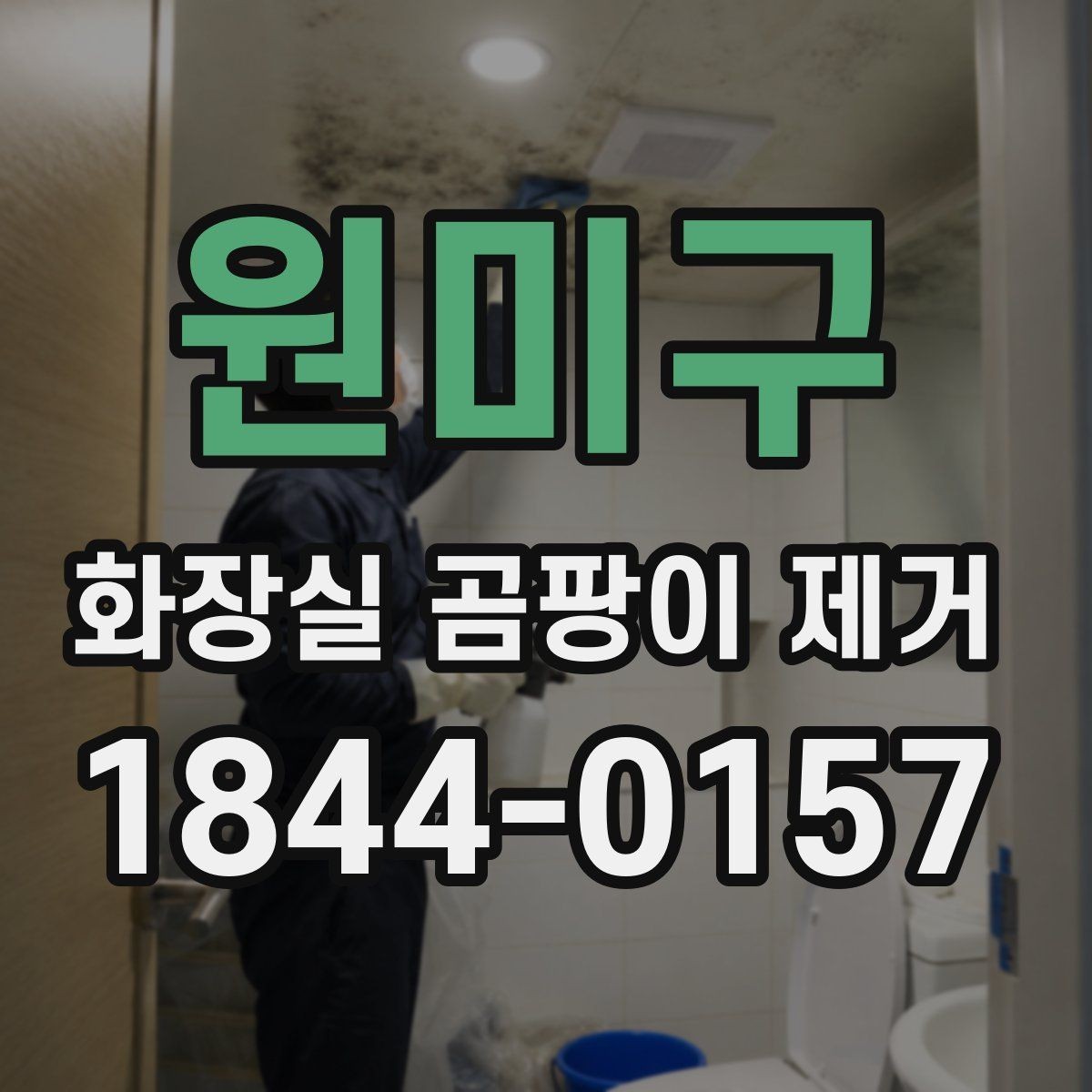 원미구 화장실 곰팡이 제거 습도 낮추는 관리와 함께 하는 방법