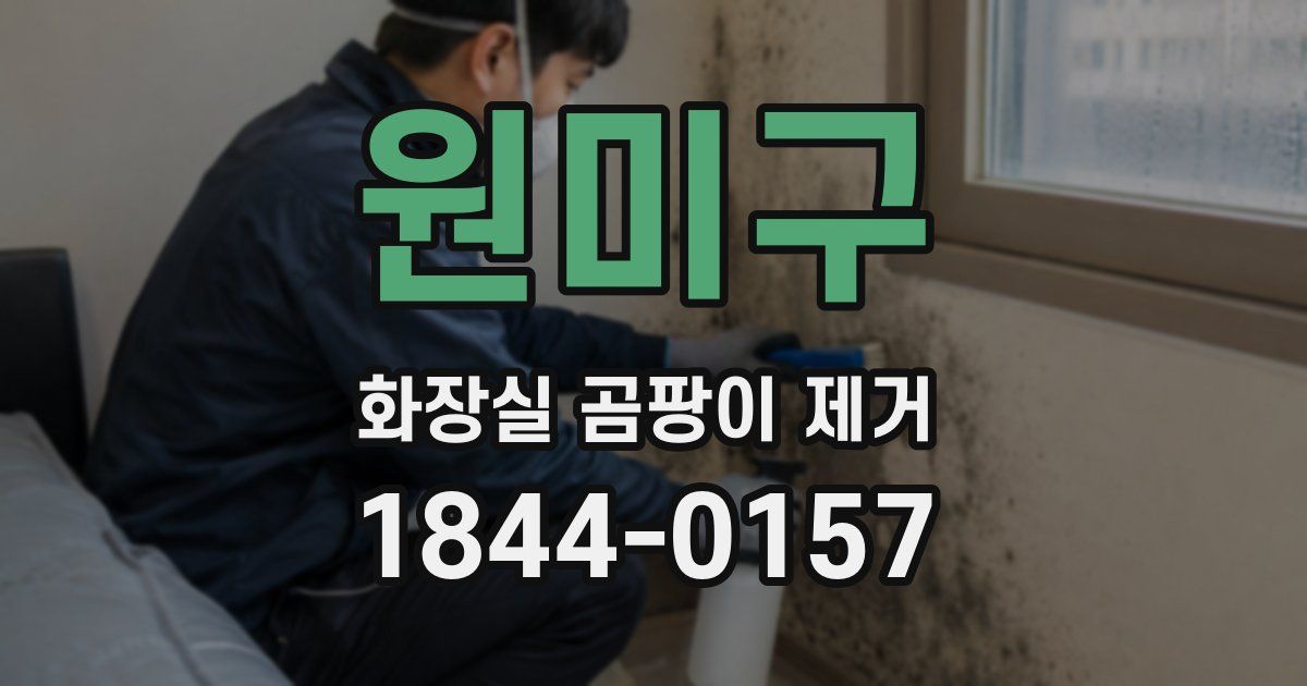 원미구 화장실 곰팡이 제거