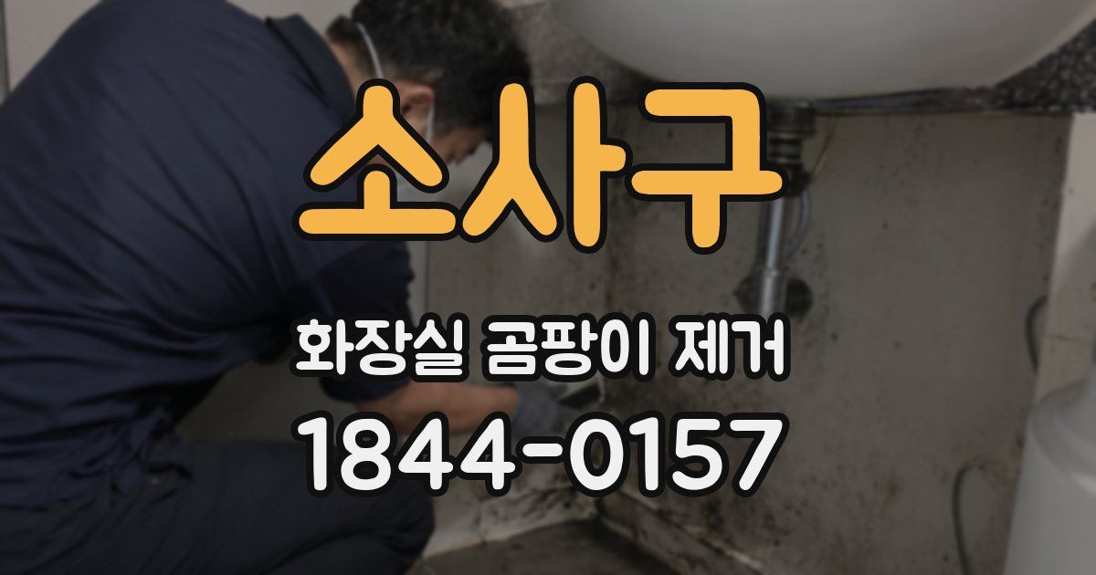 소사구 화장실 곰팡이 제거
