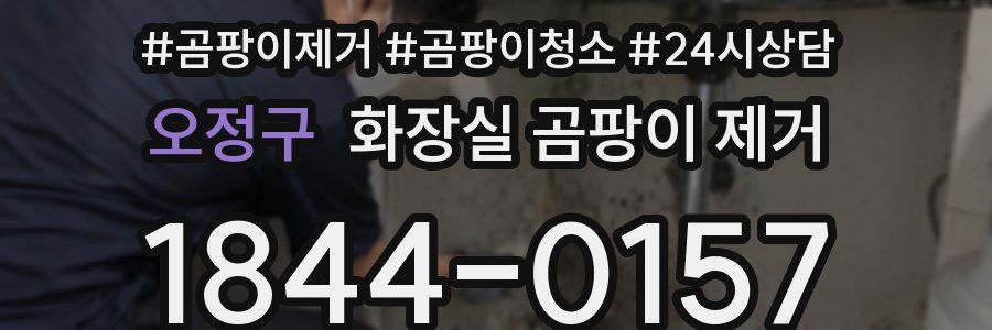 오정구 화장실 곰팡이 제거