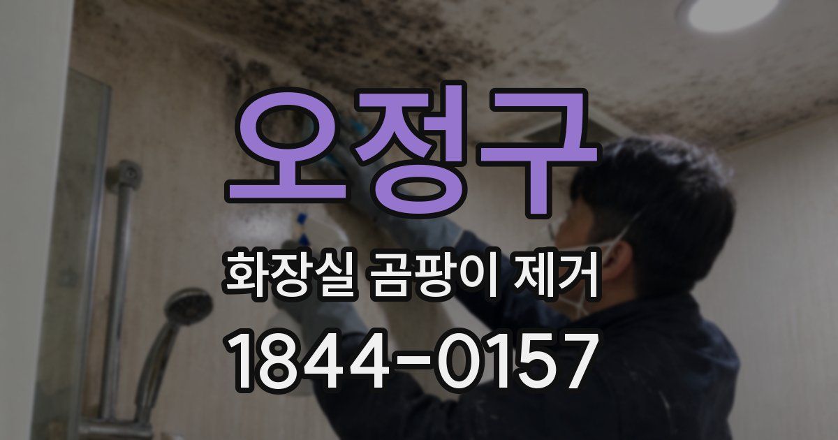 오정구 화장실 곰팡이 제거