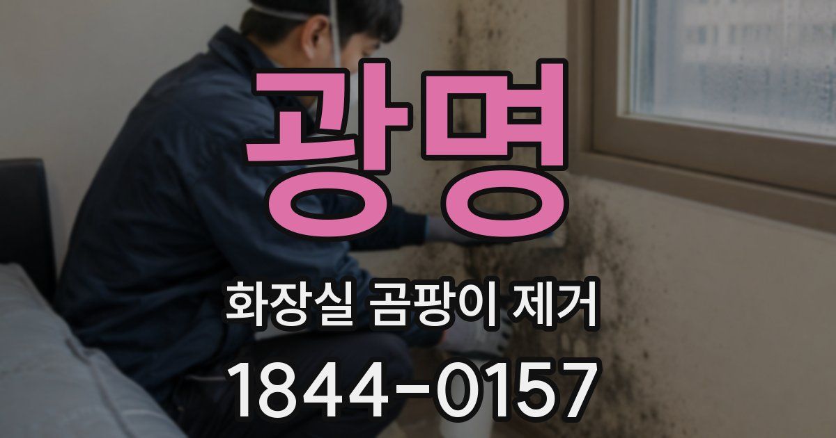 광명 화장실 곰팡이 제거