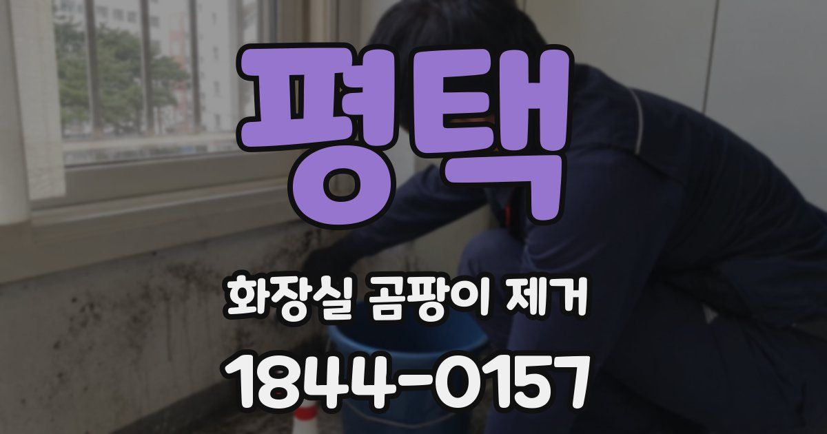 평택 화장실 곰팡이 제거