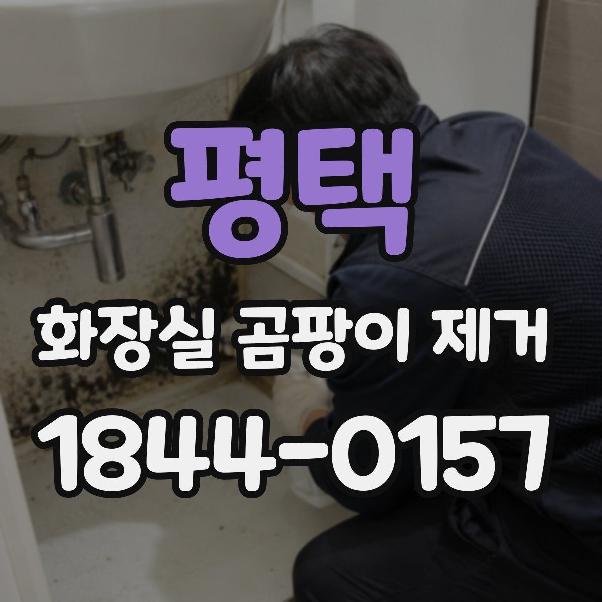 평택 화장실 곰팡이 제거