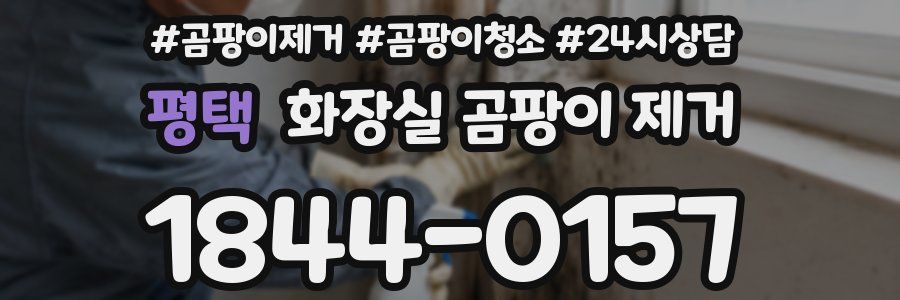 평택 화장실 곰팡이 제거