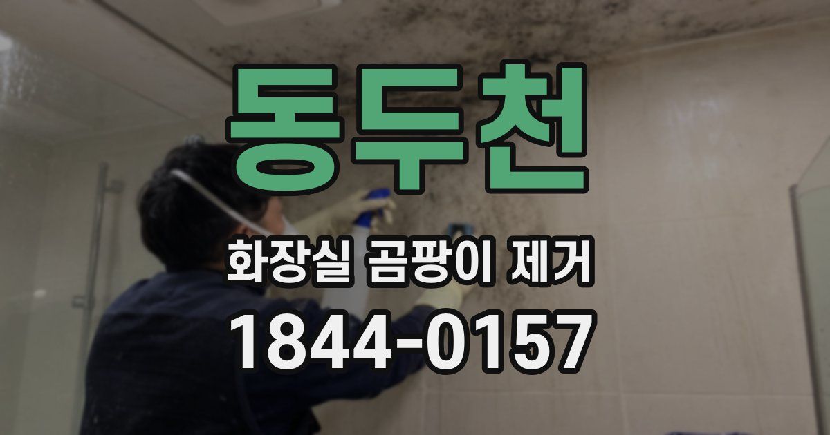 동두천 화장실 곰팡이 제거