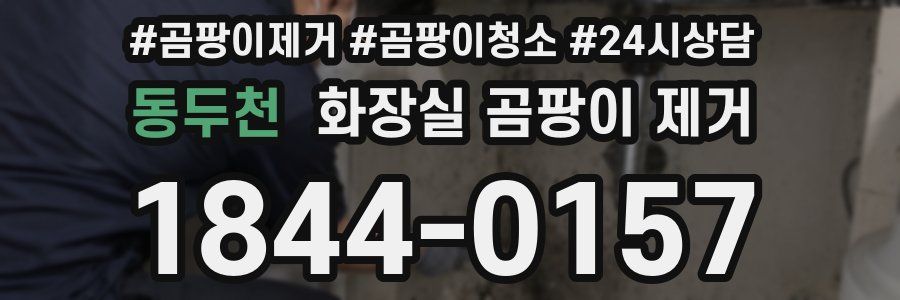 동두천 화장실 곰팡이 제거