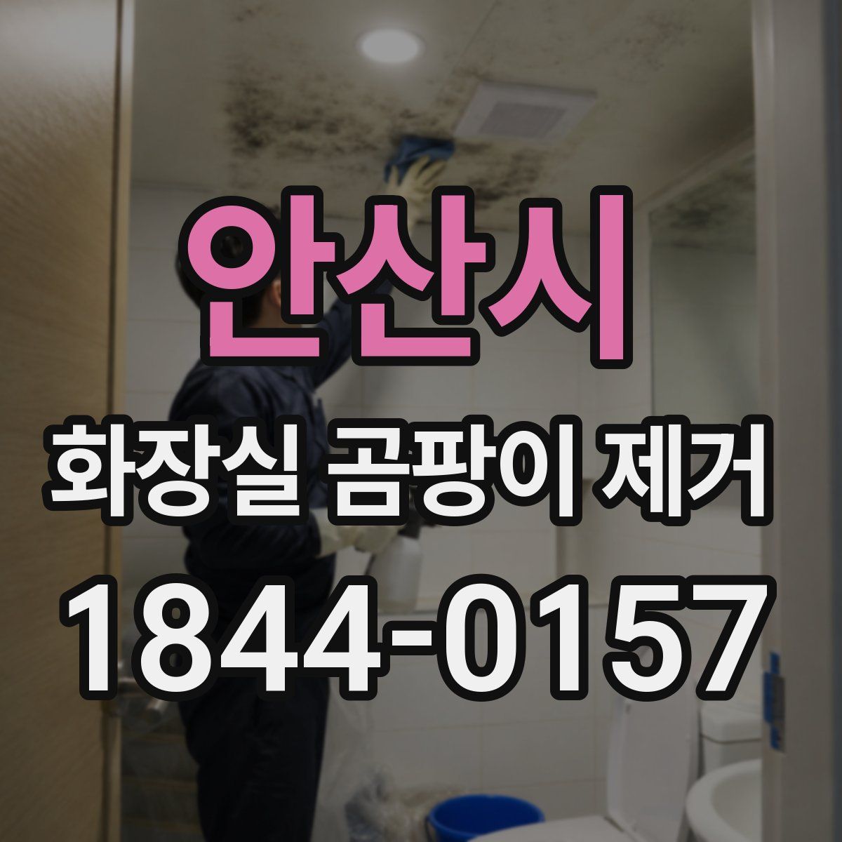 안산시 화장실 곰팡이 제거