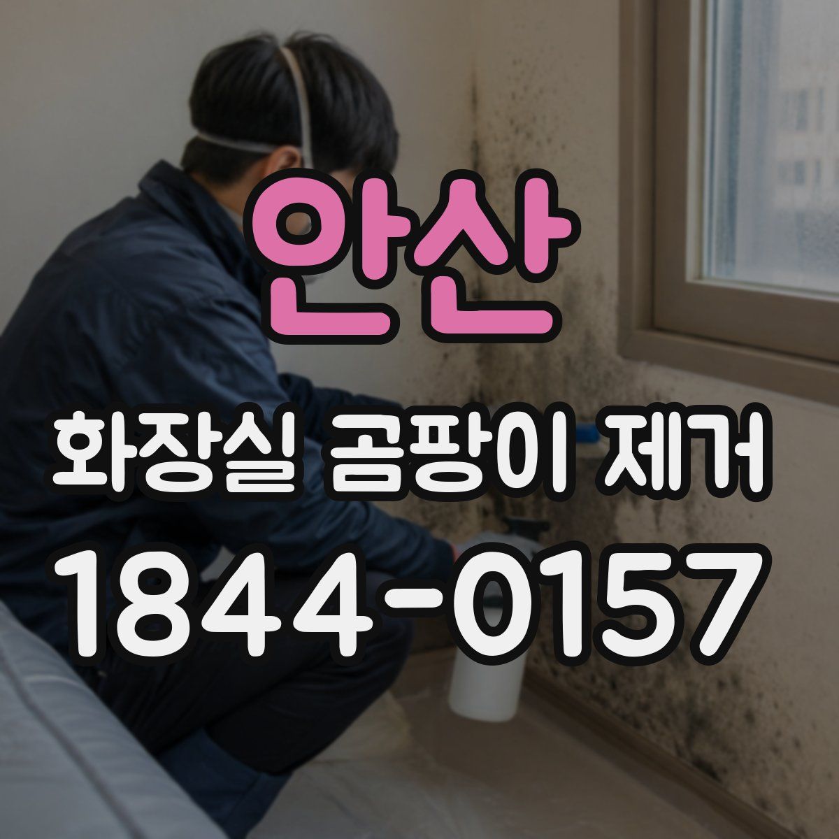 안산 화장실 곰팡이 제거