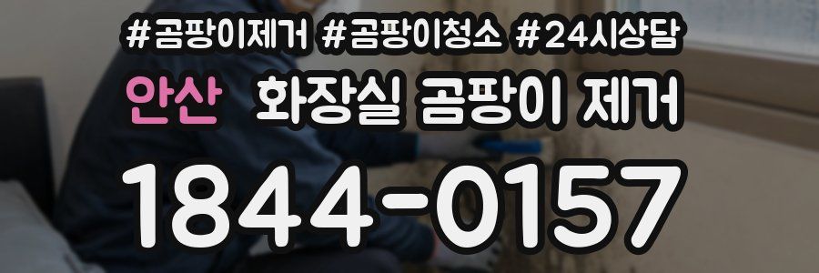 안산 화장실 곰팡이 제거