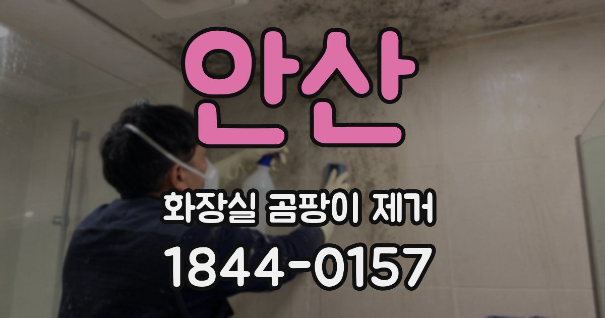 안산 화장실 곰팡이 제거