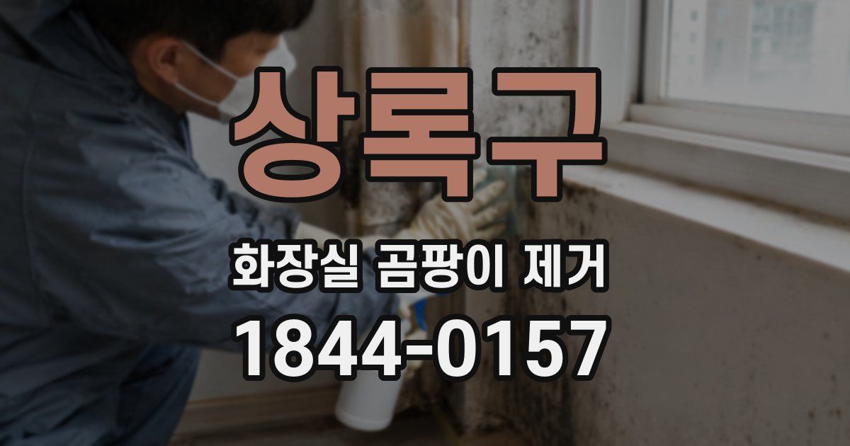 상록구 화장실 곰팡이 제거