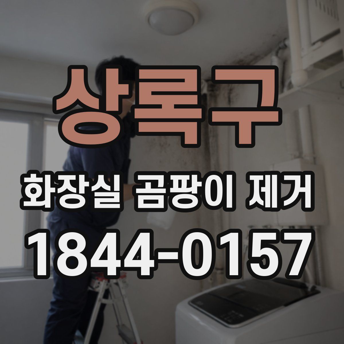 상록구 화장실 곰팡이 제거