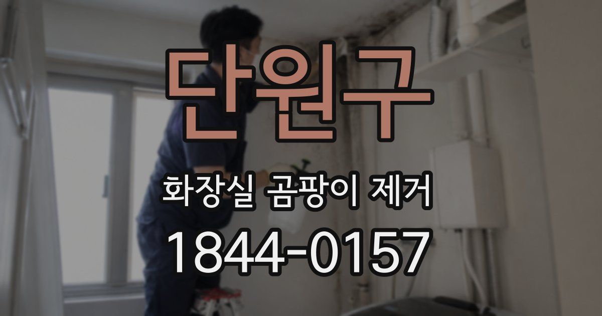 단원구 화장실 곰팡이 제거