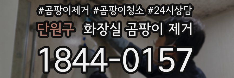 단원구 화장실 곰팡이 제거