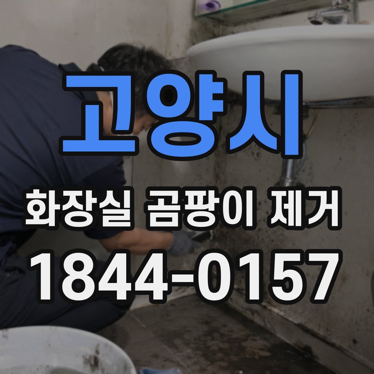 고양시 화장실 곰팡이 제거