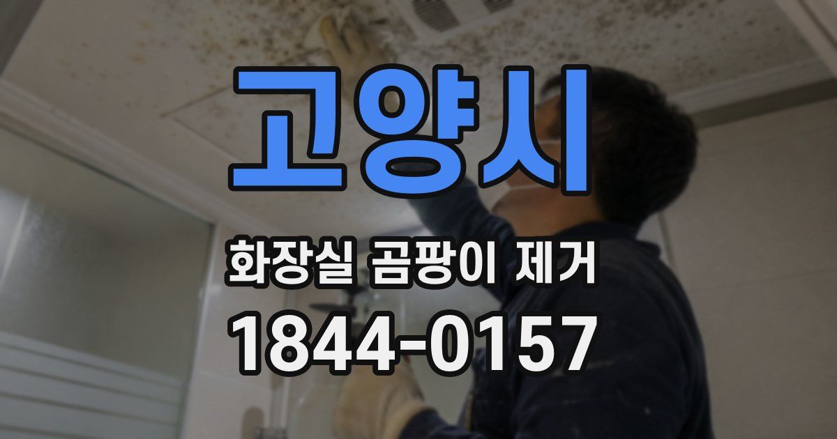 고양시 화장실 곰팡이 제거