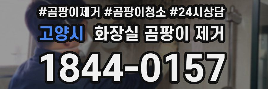 고양시 화장실 곰팡이 제거