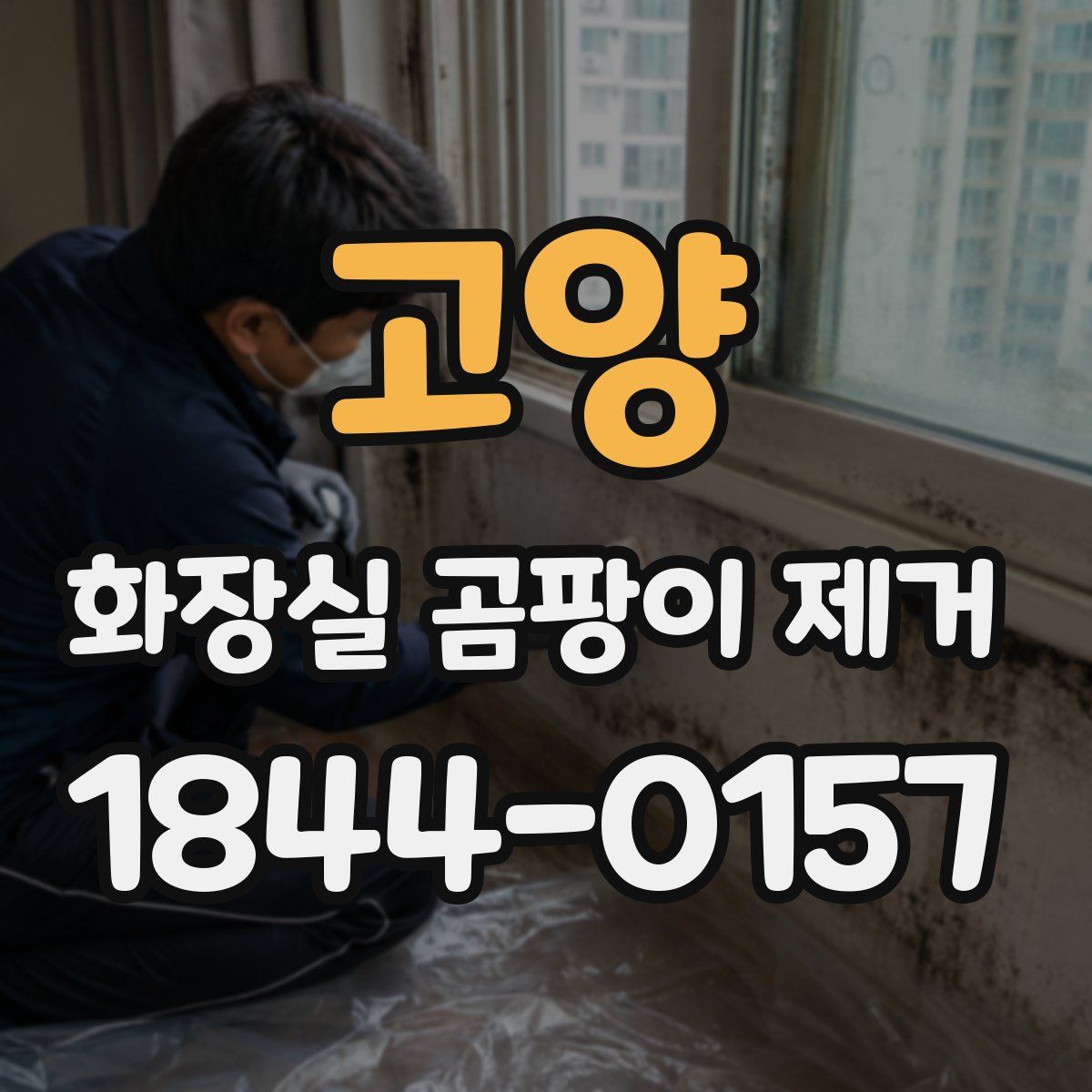 고양 화장실 곰팡이 제거