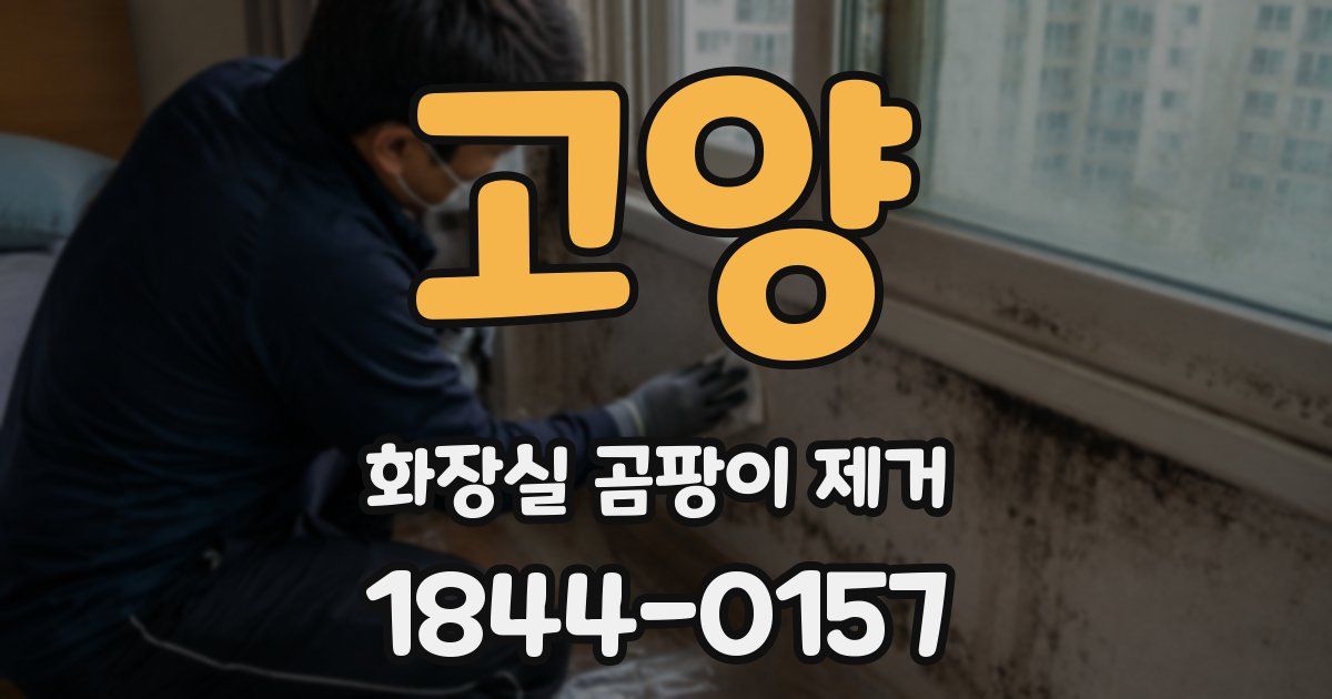 고양 화장실 곰팡이 제거
