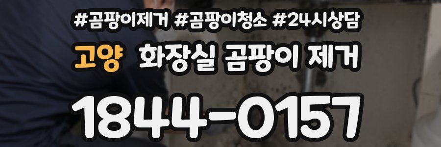 고양 화장실 곰팡이 제거